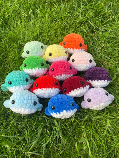 Mini baleine