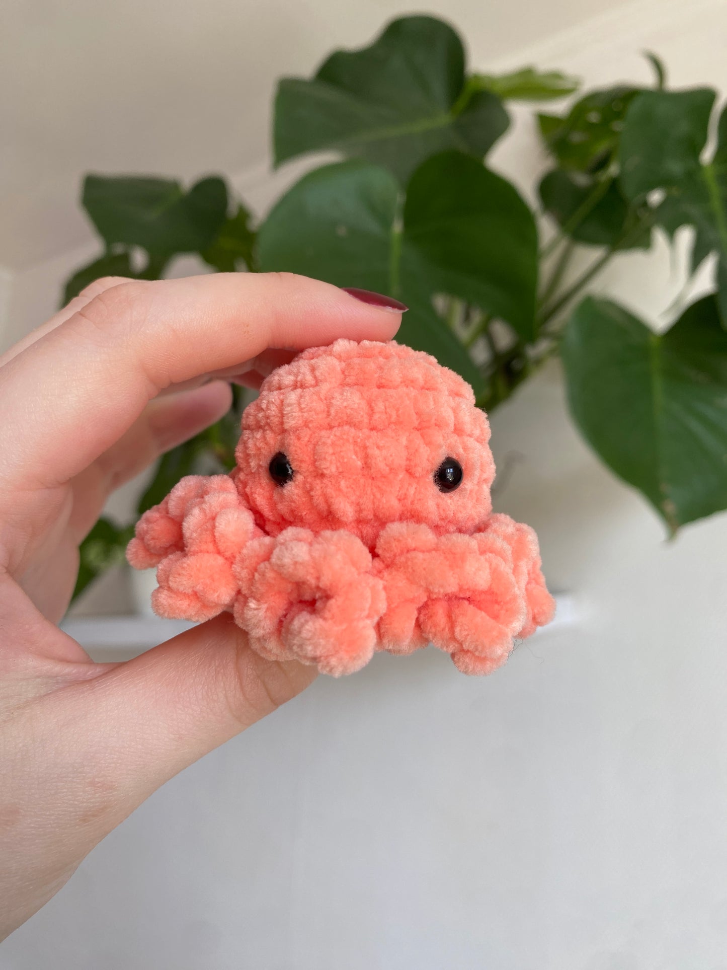 Mini poulpe