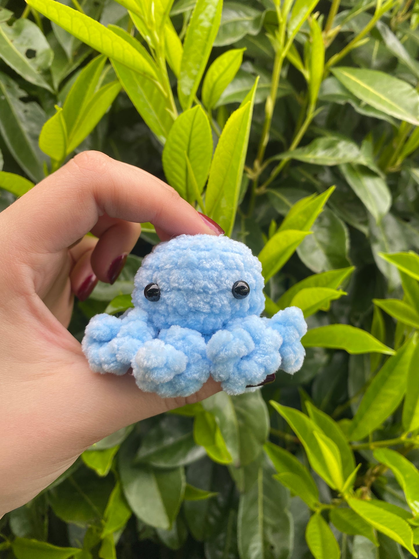 Mini poulpe