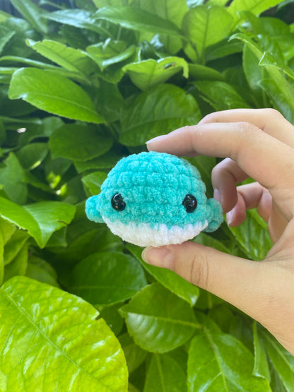 Mini baleine