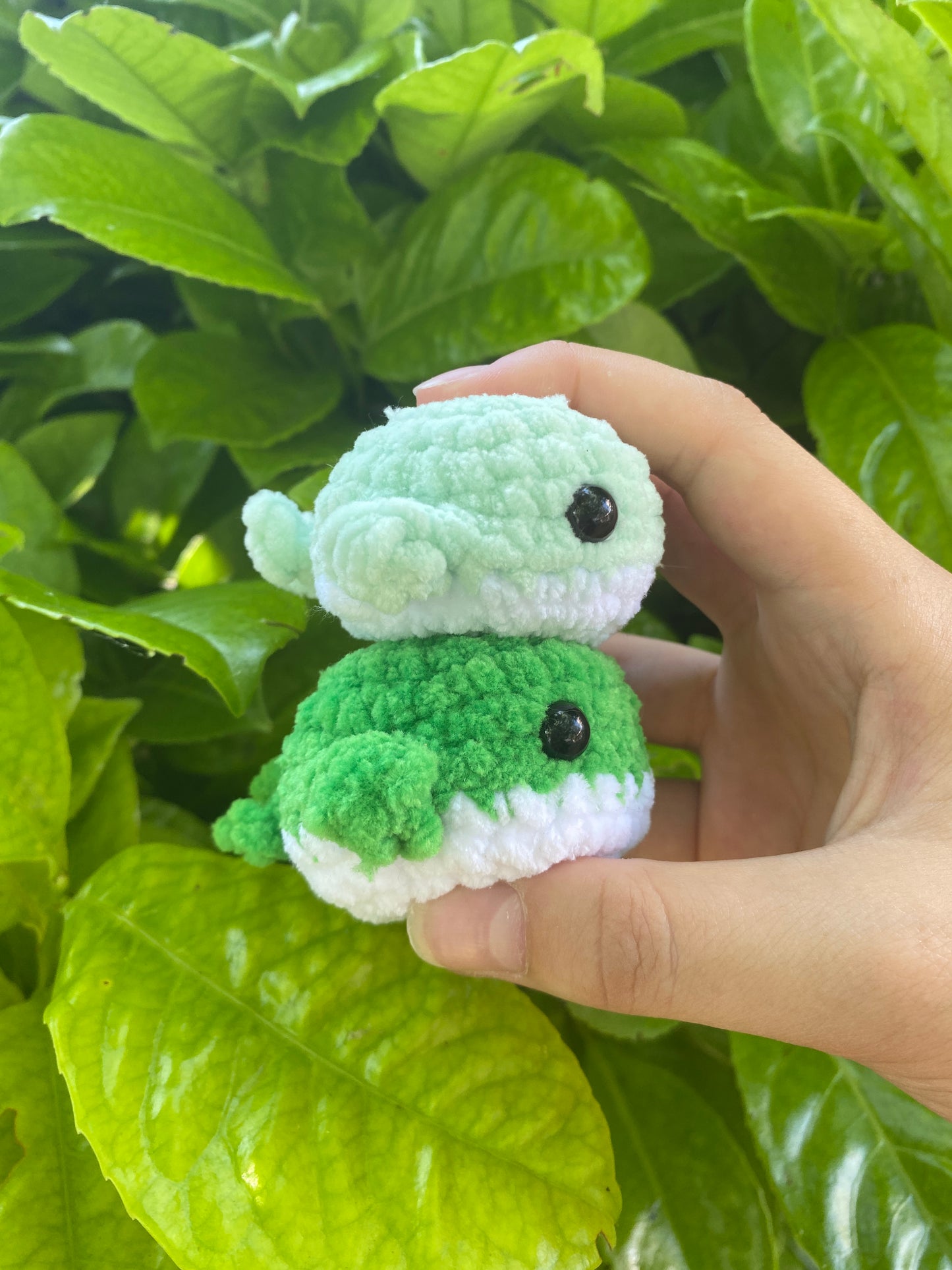 Mini baleine