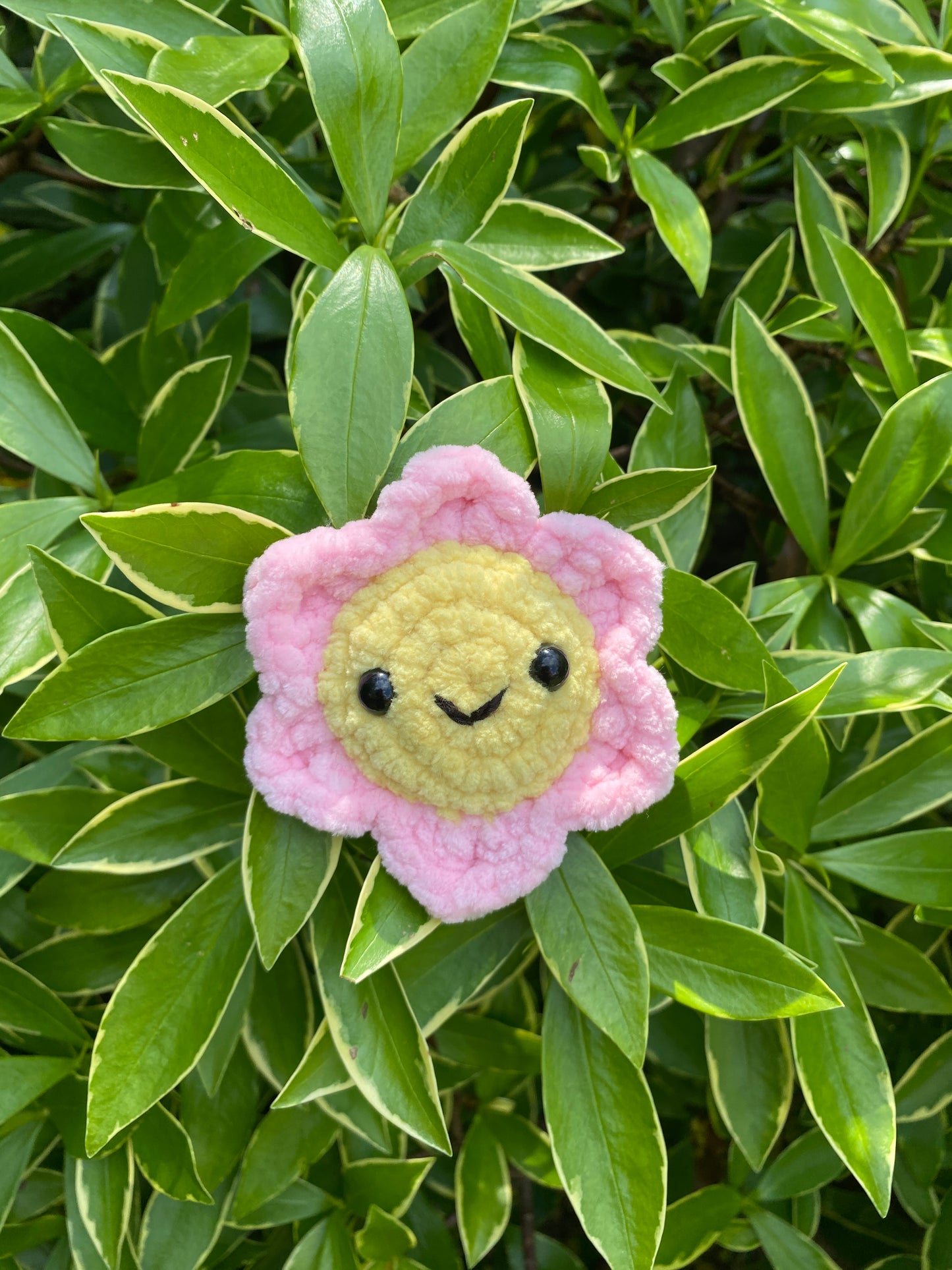 Petite fleur