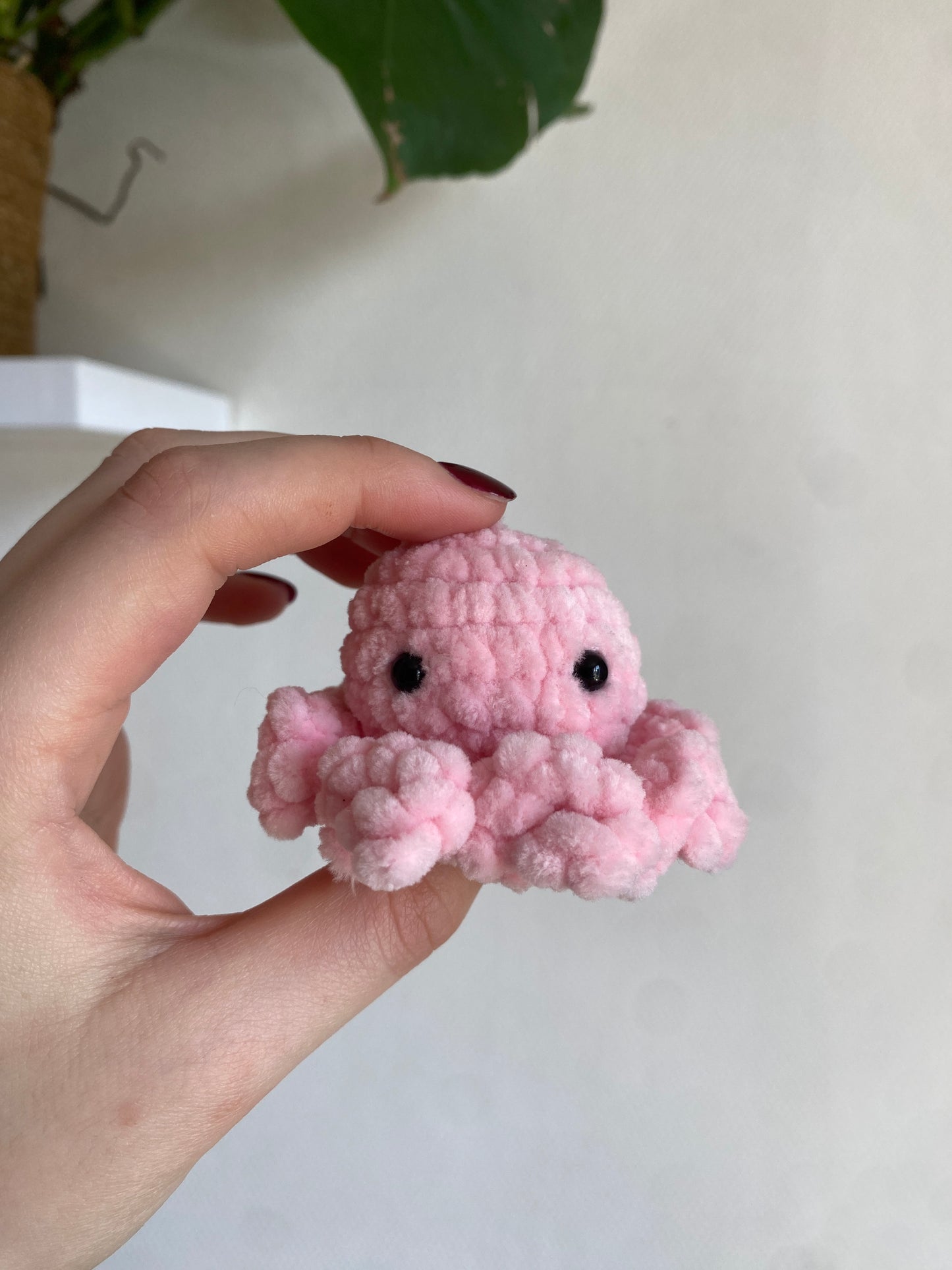 Mini poulpe