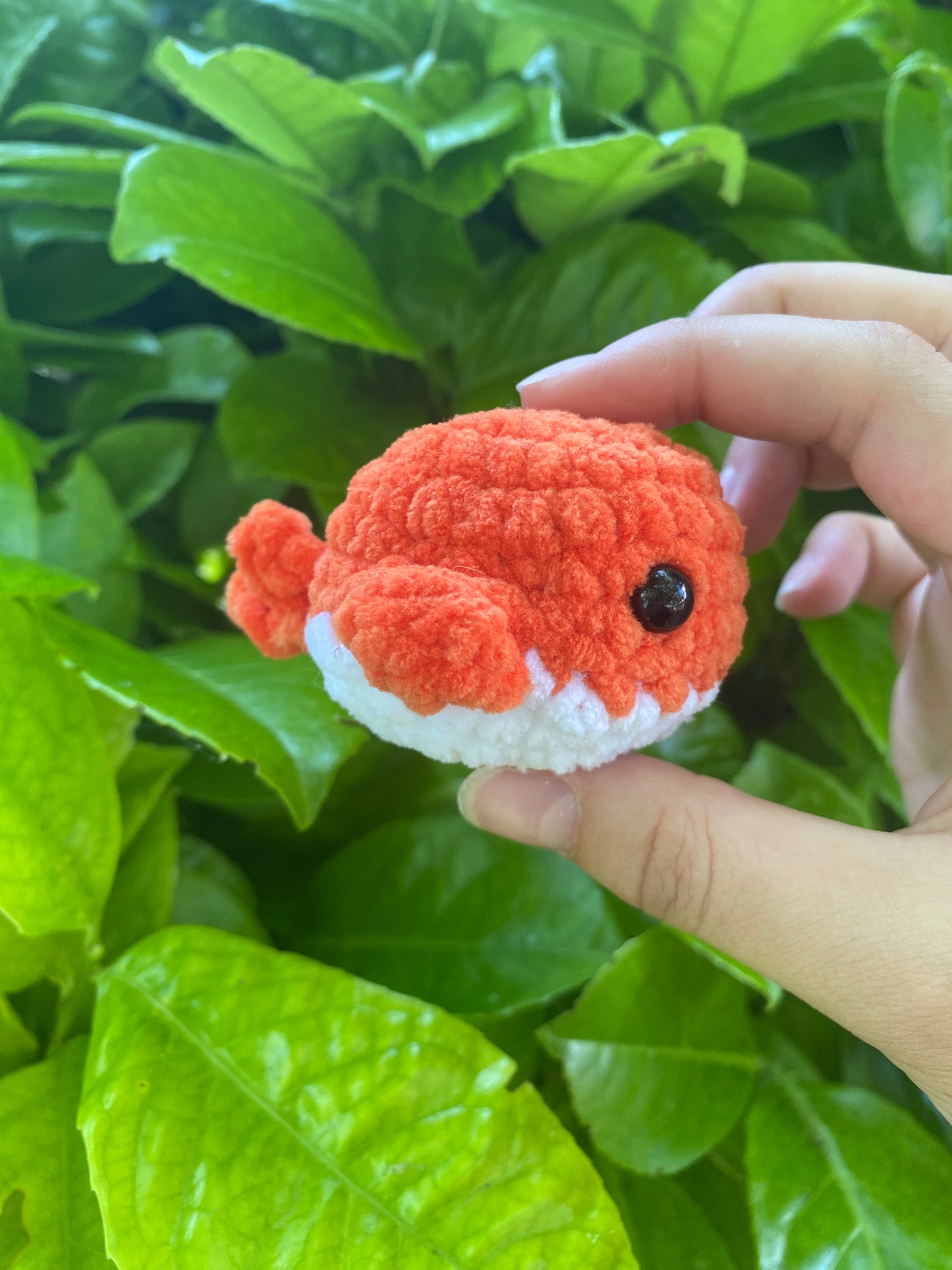 Mini baleine