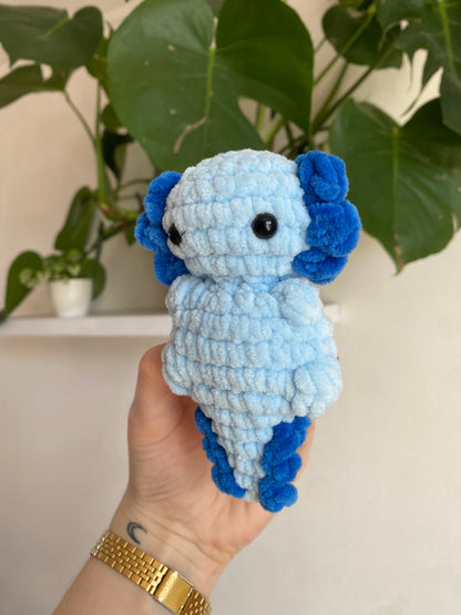 Petit axolotl