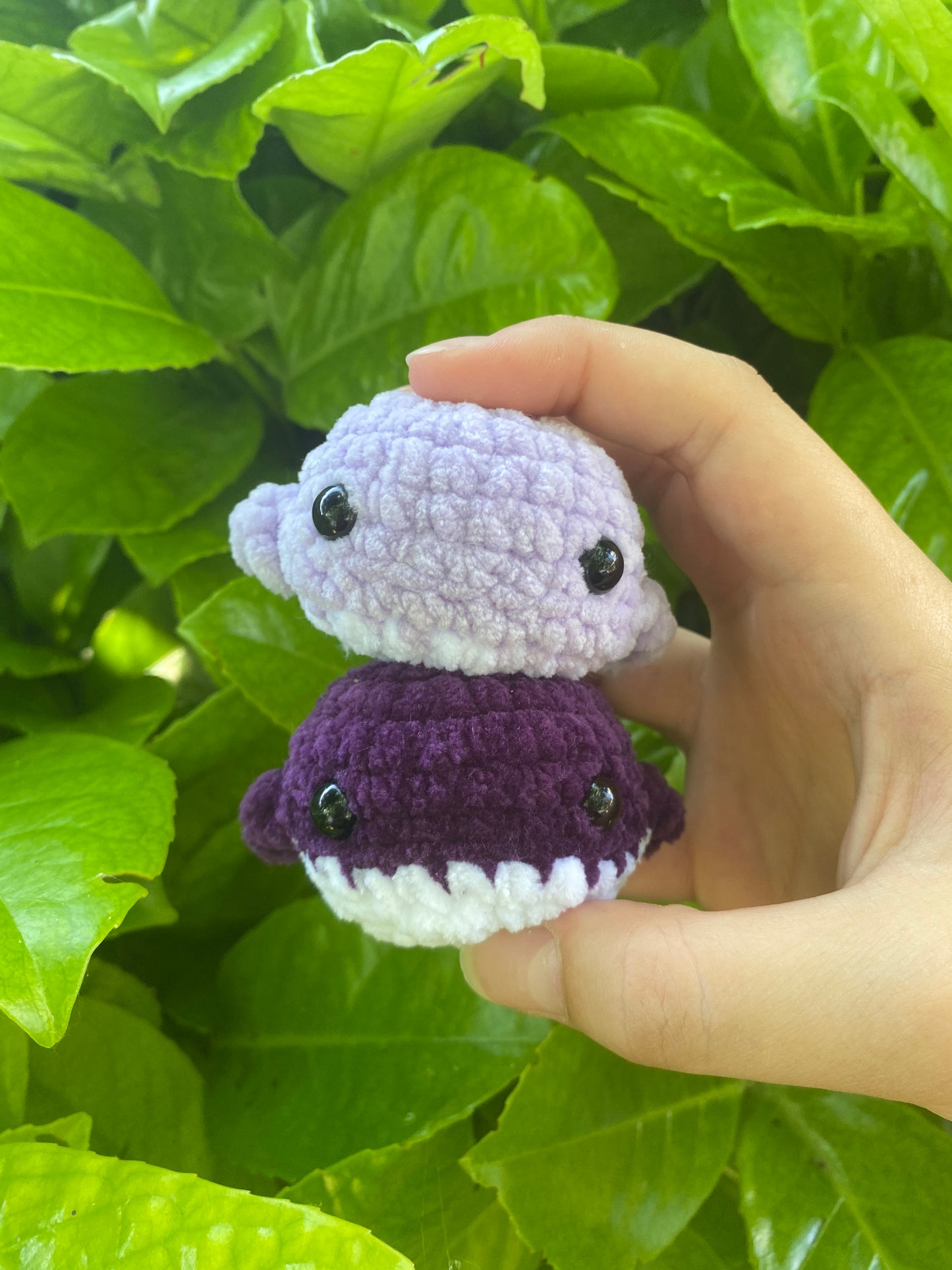 Mini baleine